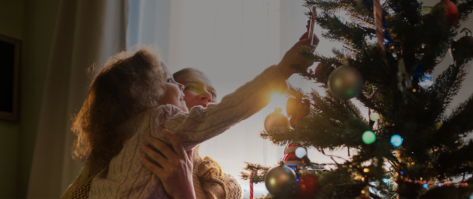 Shop Custom Blinds and Shades