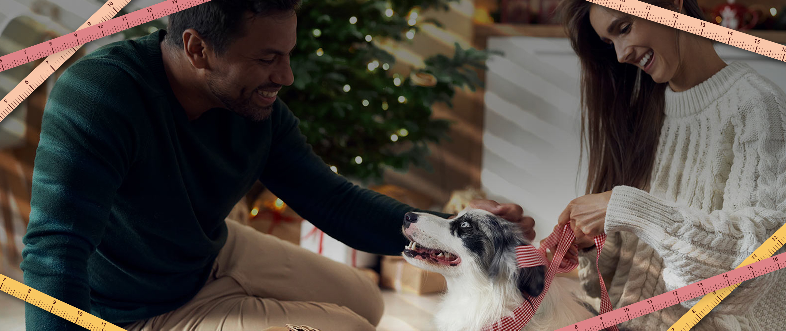 Shop Custom Blinds and Shades