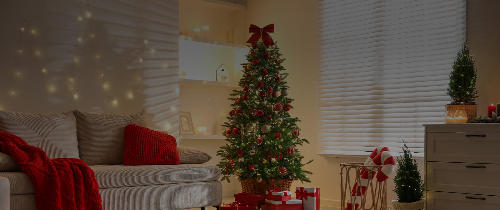 Shop Custom Blinds and Shades