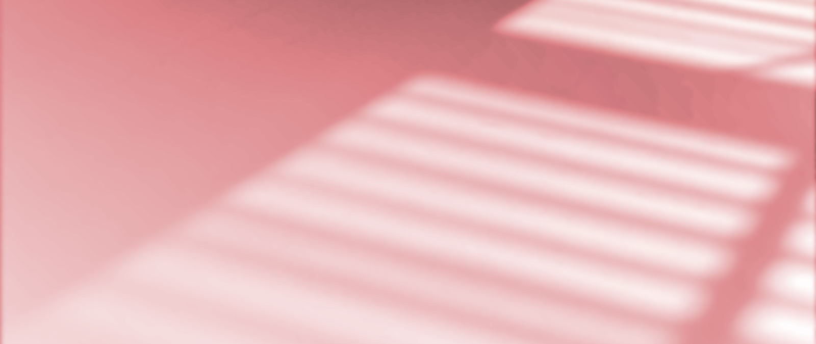 Shop Custom Blinds and Shades