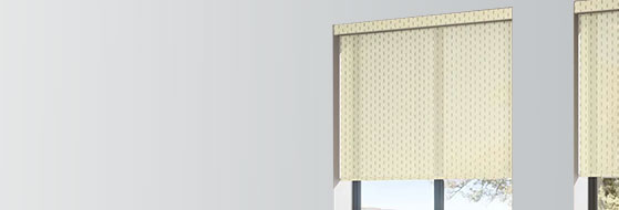 Shop Custom Blinds and Shades