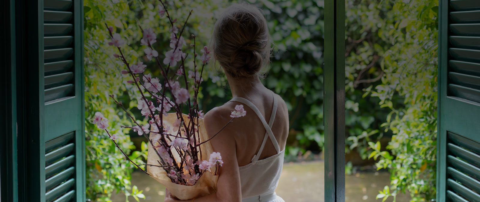 Shop Custom Blinds and Shades