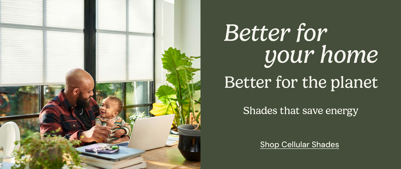 Shop Custom Blinds and Shades