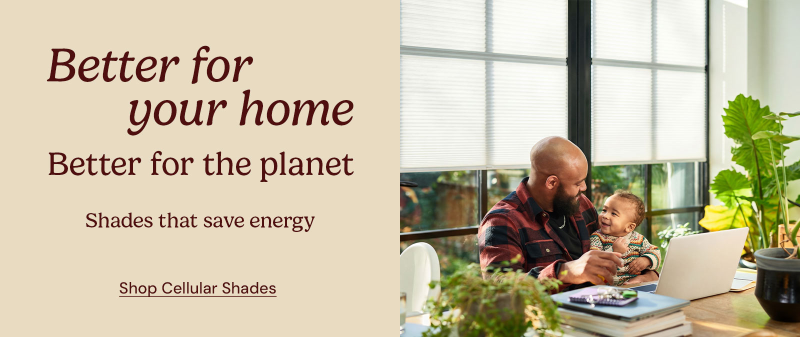 Shop Custom Blinds and Shades