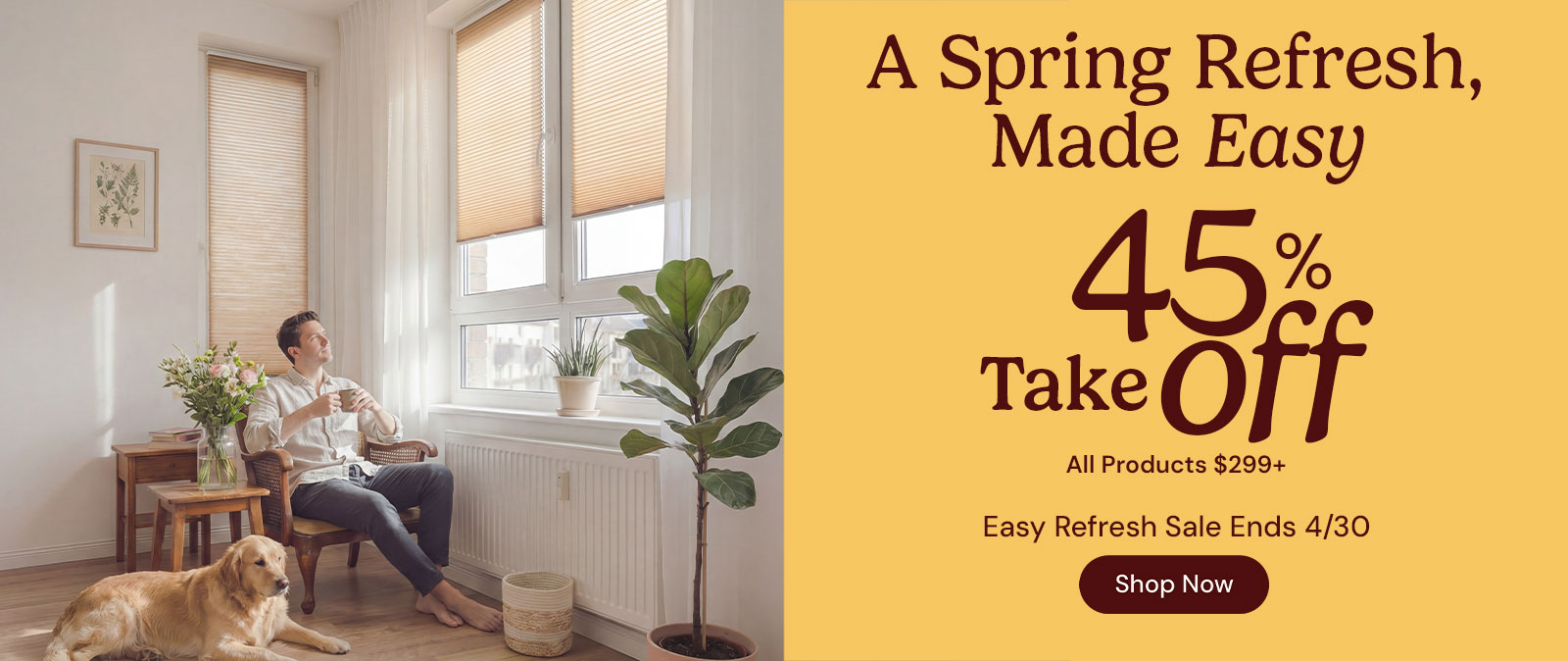 Shop Custom Blinds and Shades