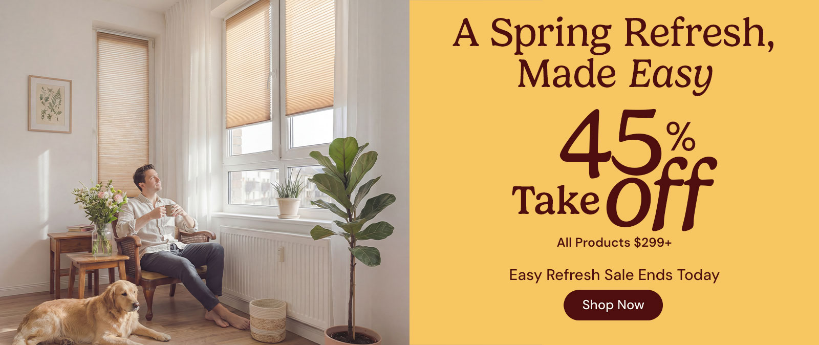 Shop Custom Blinds and Shades