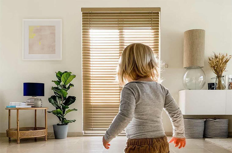Shop Custom Blinds and Shades