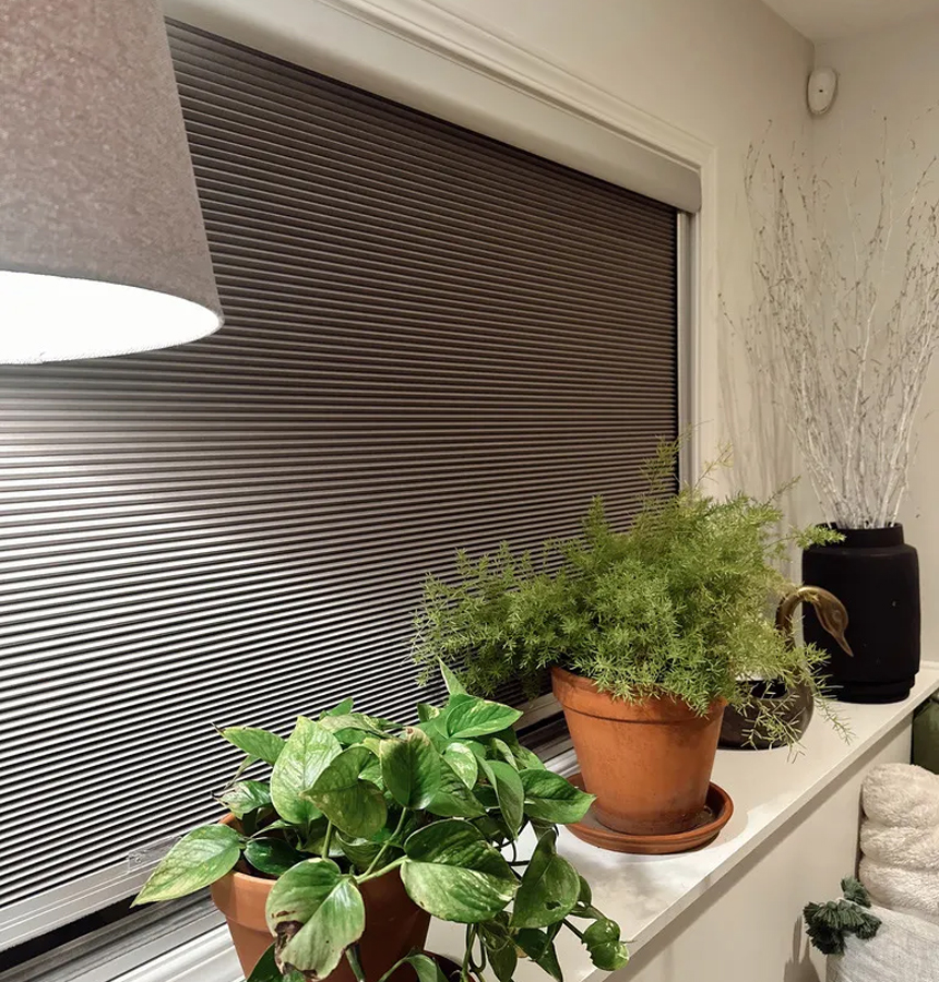 Image of wood blinds