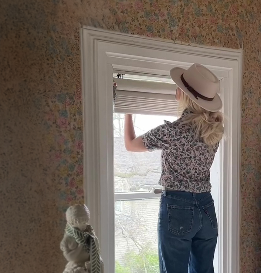 Image of cellular shades