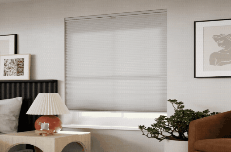 Shop Custom Blinds and Shades